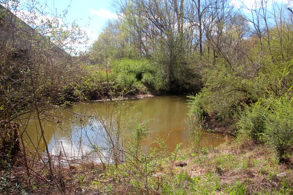 Johns Creek (Oostanaula River), March 2017