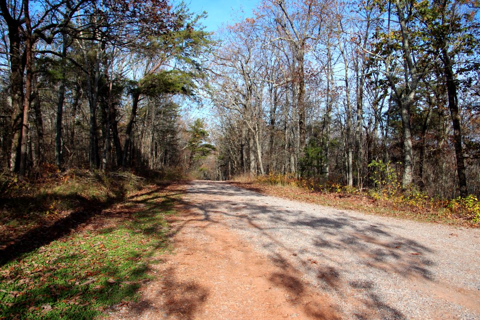 Johns Mountain overlook road, Nov 2017
