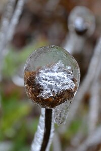 Ice winter nature