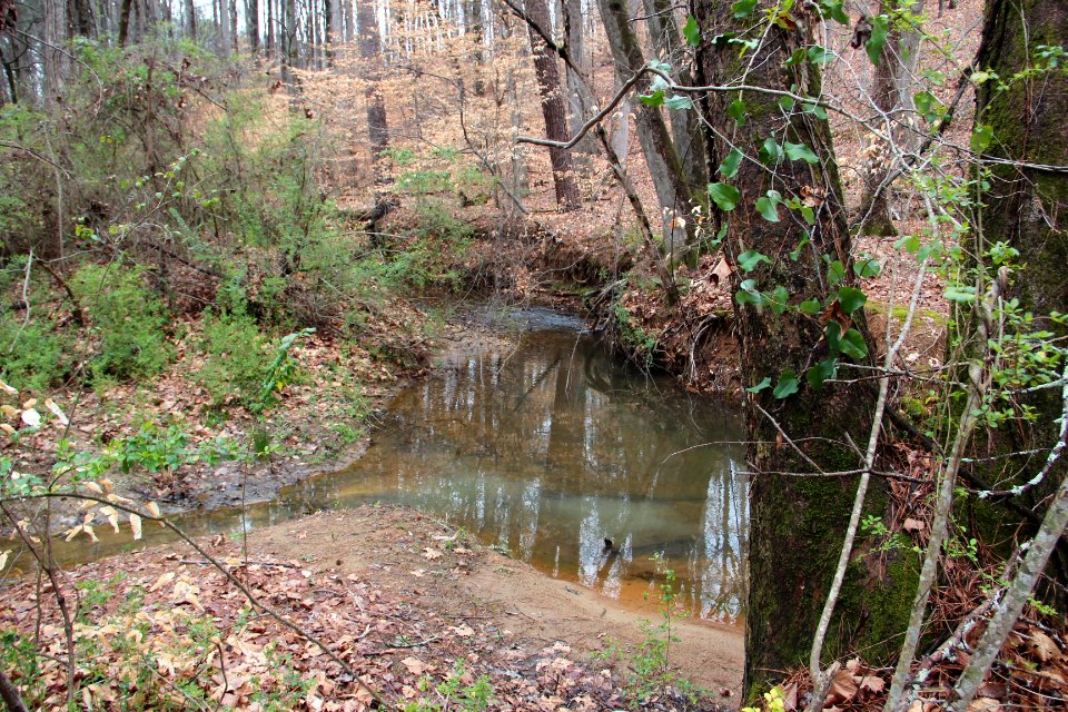 Johns Creek in Forsyth County, Mar 2017