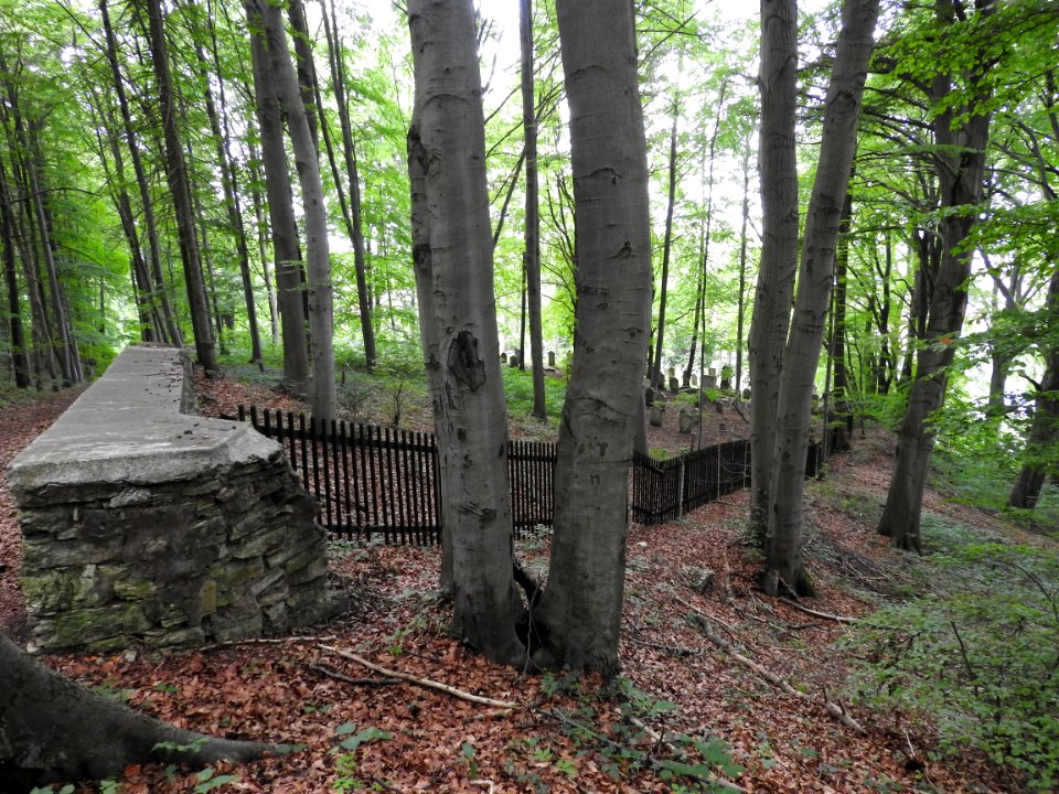 Jewish cemetery Bleicherode 4