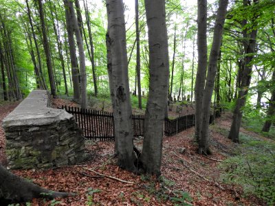 Jewish cemetery Bleicherode 4