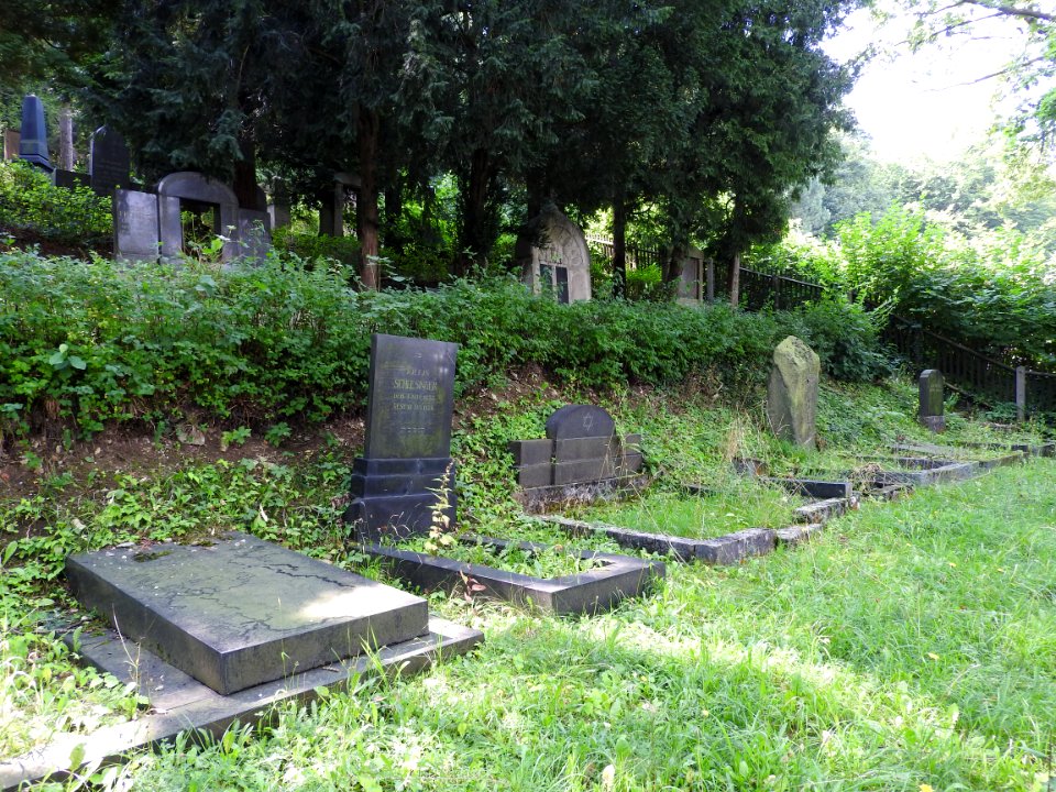Jewish cemetery Bleicherode 40
