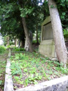 Jewish cemetery Bleicherode 49