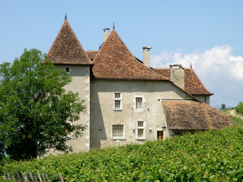Jongieux Château de La Mar 8
