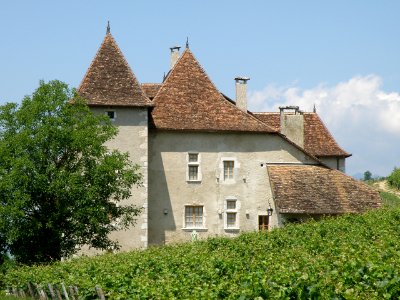 Jongieux Château de La Mar 8