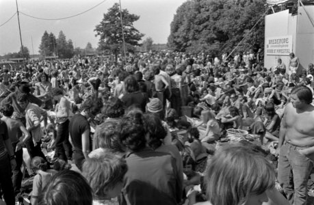Jongeren tijdens het festival in Kralingse Bos, Bestanddeelnr 923-6261
