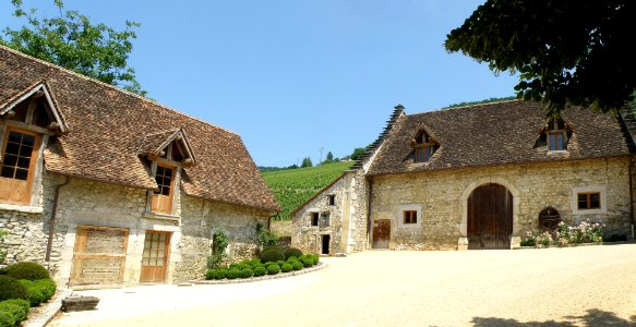 Jongieux Château de La Mar 9