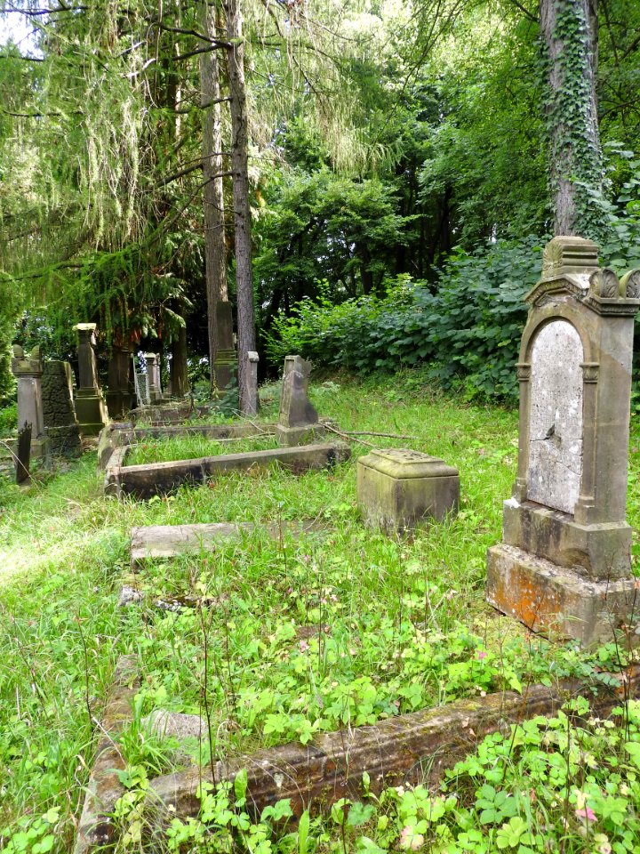 Jewish cemetery Bleicherode 53