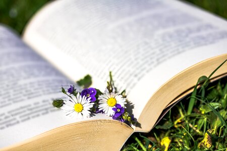 Veronica plantain greenhouse book photo