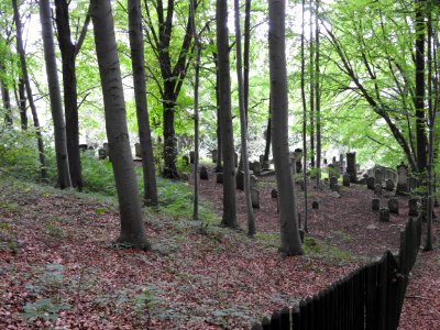 Jewish cemetery Bleicherode 3