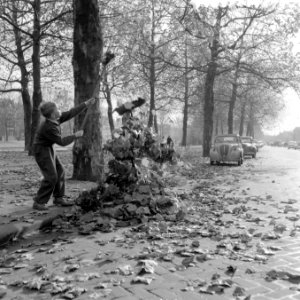 Jongens spelen met herfstbladeren, Bestanddeelnr 909-0867