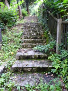 Jewish cemetery Bleicherode 44