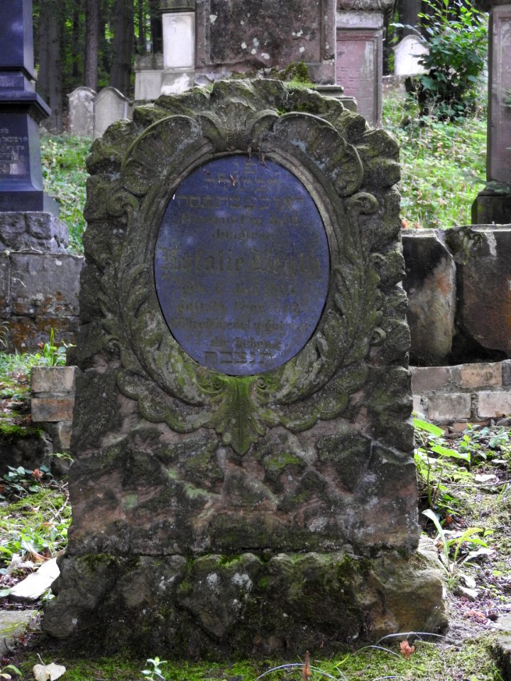 Jewish cemetery Bleicherode 28