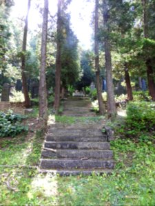 Jewish cemetery Bleicherode 42