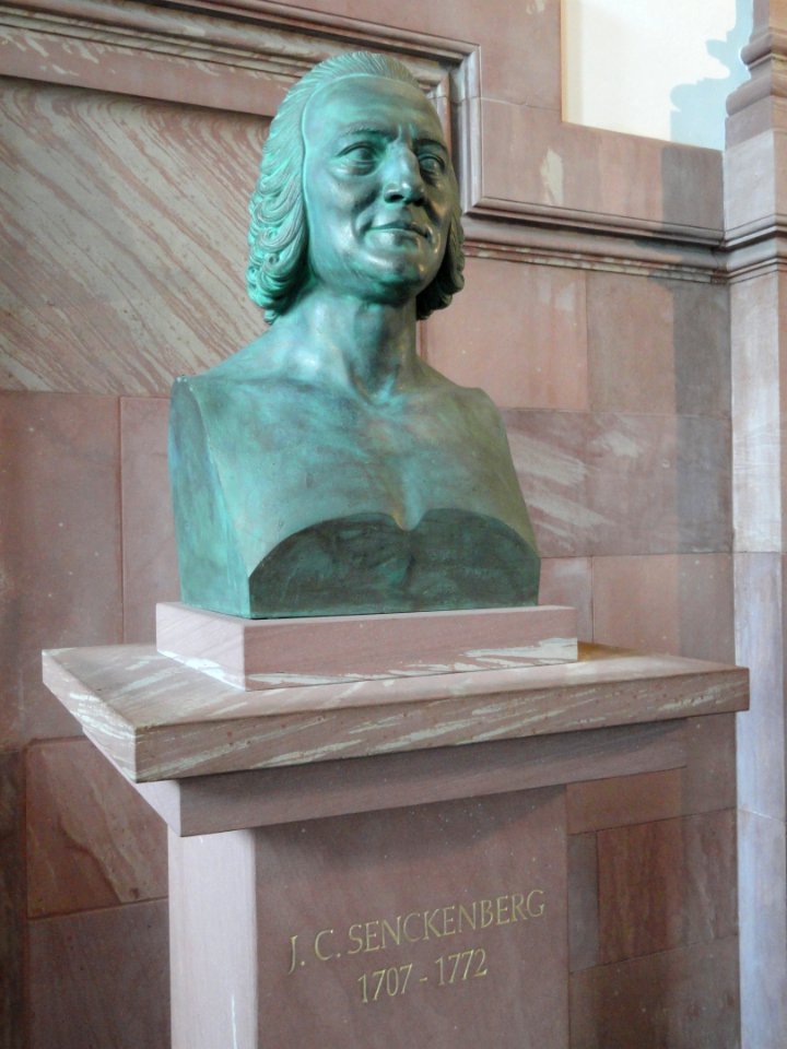 Johann Christian Senckenberg - Naturmuseum Senckenberg - DSC02262