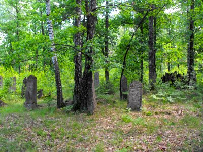 Jewish cemeteries in Lenin (Zhytkavichy district) 1b