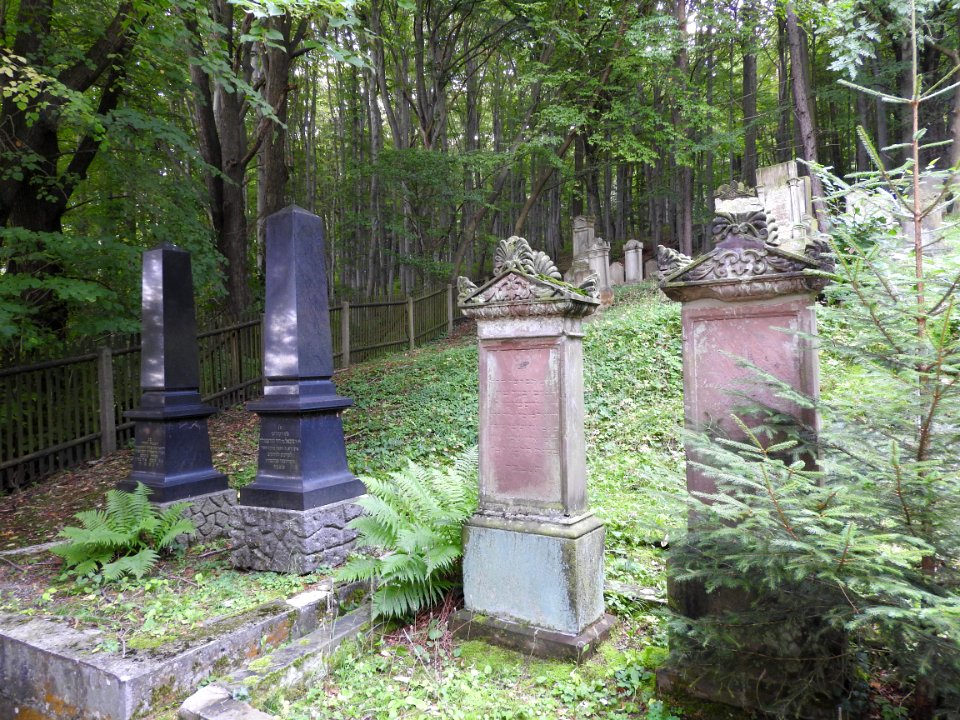 Jewish cemetery Bleicherode 25