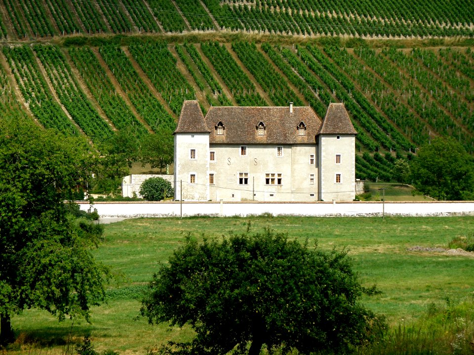Jongieux Château de La Mar 3
