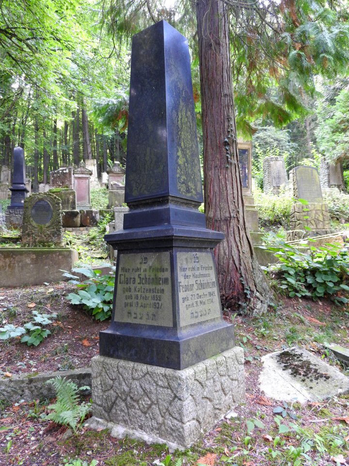 Jewish cemetery Bleicherode 29