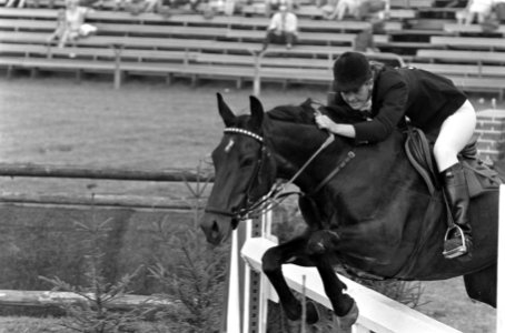Jockey J. Maathuis met diens paard springt over een hindernis, Bestanddeelnr 921-6298