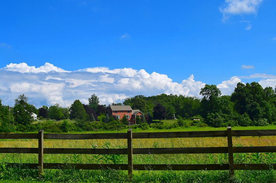 Landscape field rural