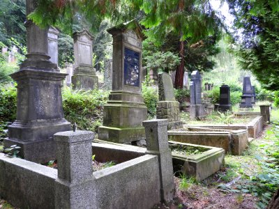 Jewish cemetery Bleicherode 27