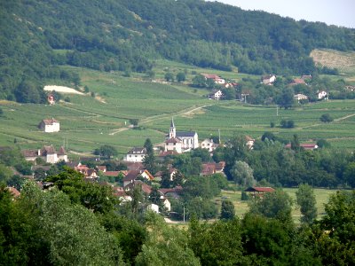 Jongieux Vue générale 10