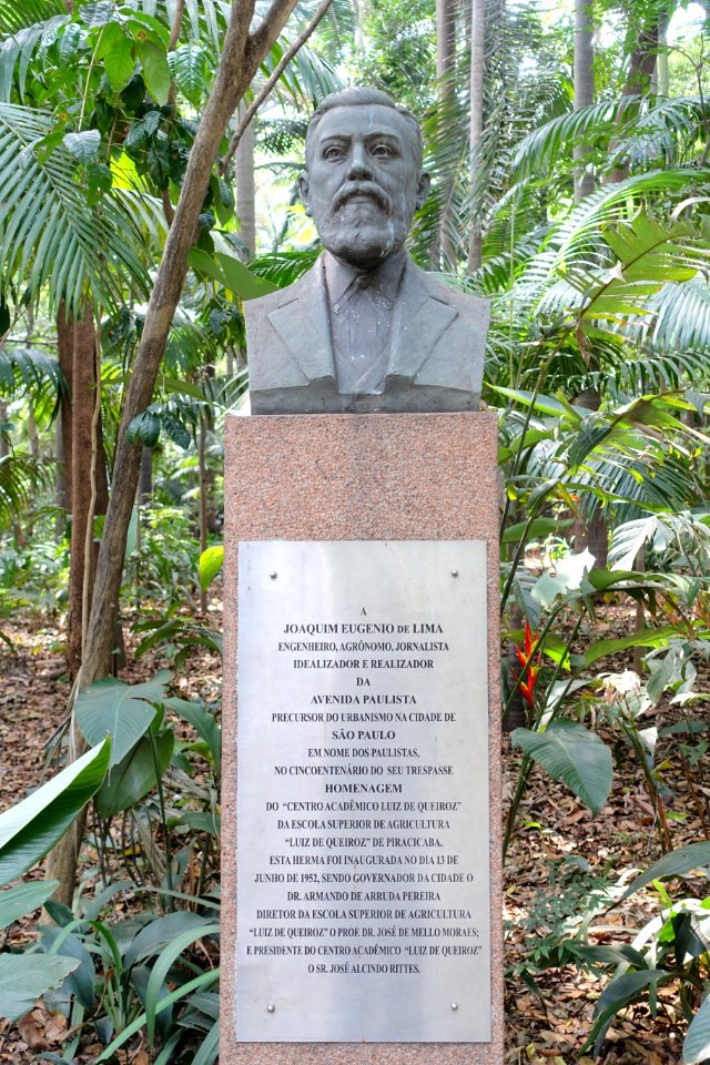 Joaquim Eugênio de Lima by Roque de Mingo - Parque Trianon - São Paulo, Brazil - DSC07135