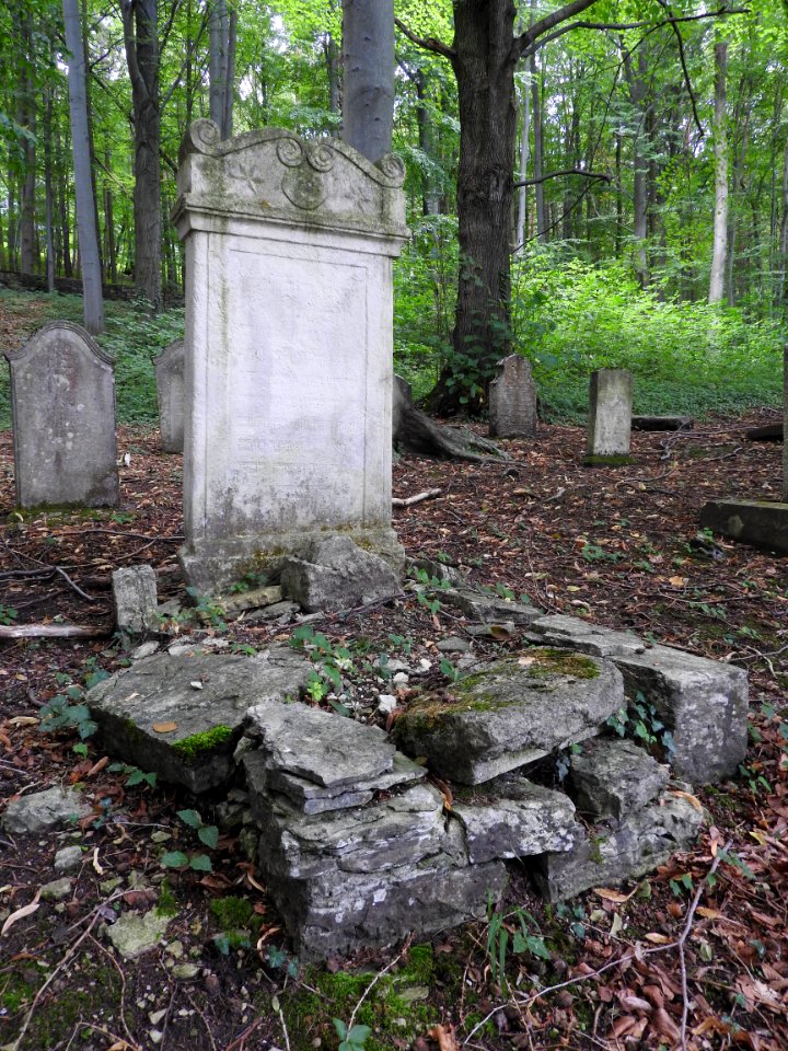 Jewish cemetery Bleicherode 15
