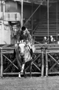 Jockey H. Wouters v.d. Oudenwijer met diens paard springt over een hindernis, Bestanddeelnr 921-6301