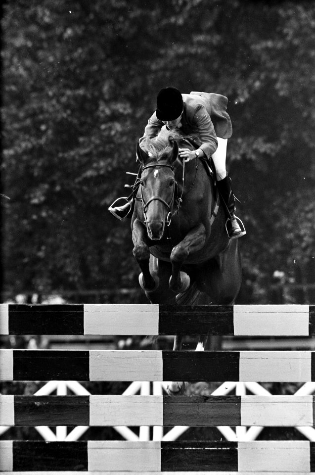 Jockey M. Gockel met diens paard springt over een hindernis, Bestanddeelnr 921-6297
