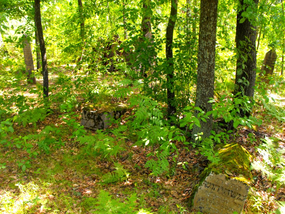Jewish cemeteries in Lenin (Zhytkavichy district) 1g