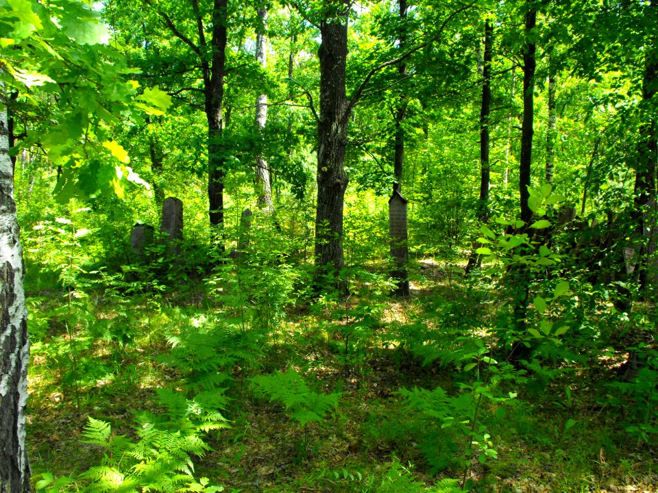 Jewish cemeteries in Lenin (Zhytkavichy district) 1e