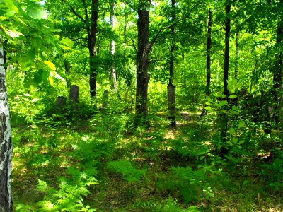 Jewish cemeteries in Lenin (Zhytkavichy district) 1e