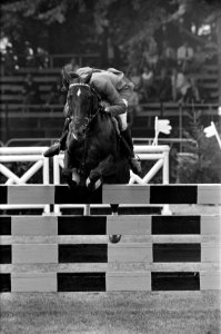 Jockey P. Bakker met diens paard springt over een hindernis, Bestanddeelnr 921-6302