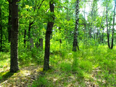 Jewish cemeteries in Lenin (Zhytkavichy district) 1c