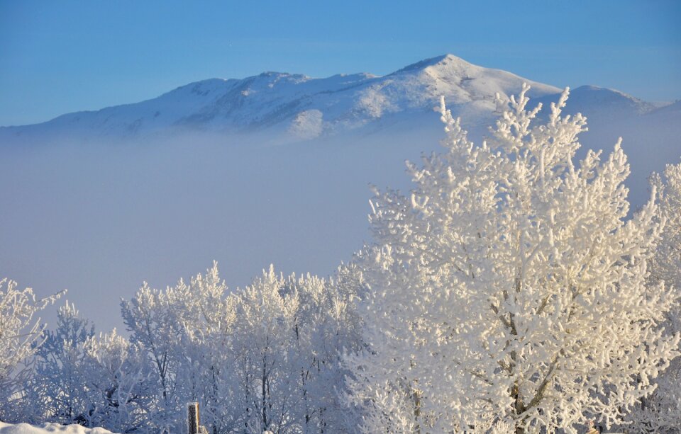 Frost frozen landscape