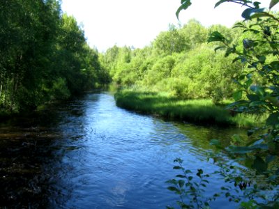 Joensuunjoki