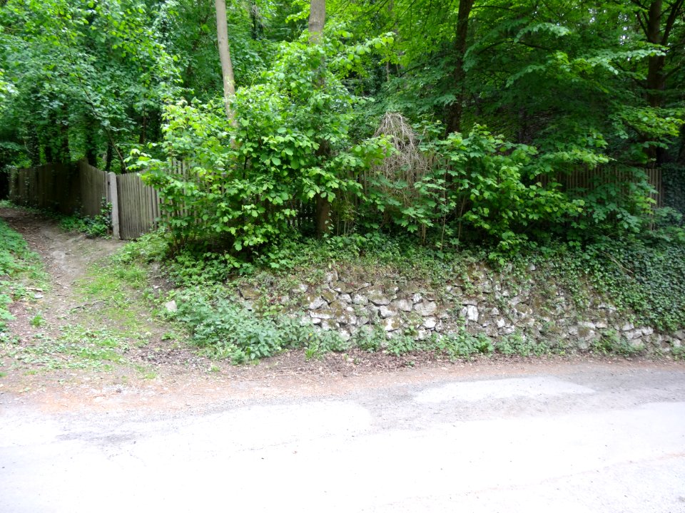 Jewish Cemetery Bad Frankenhausen 4