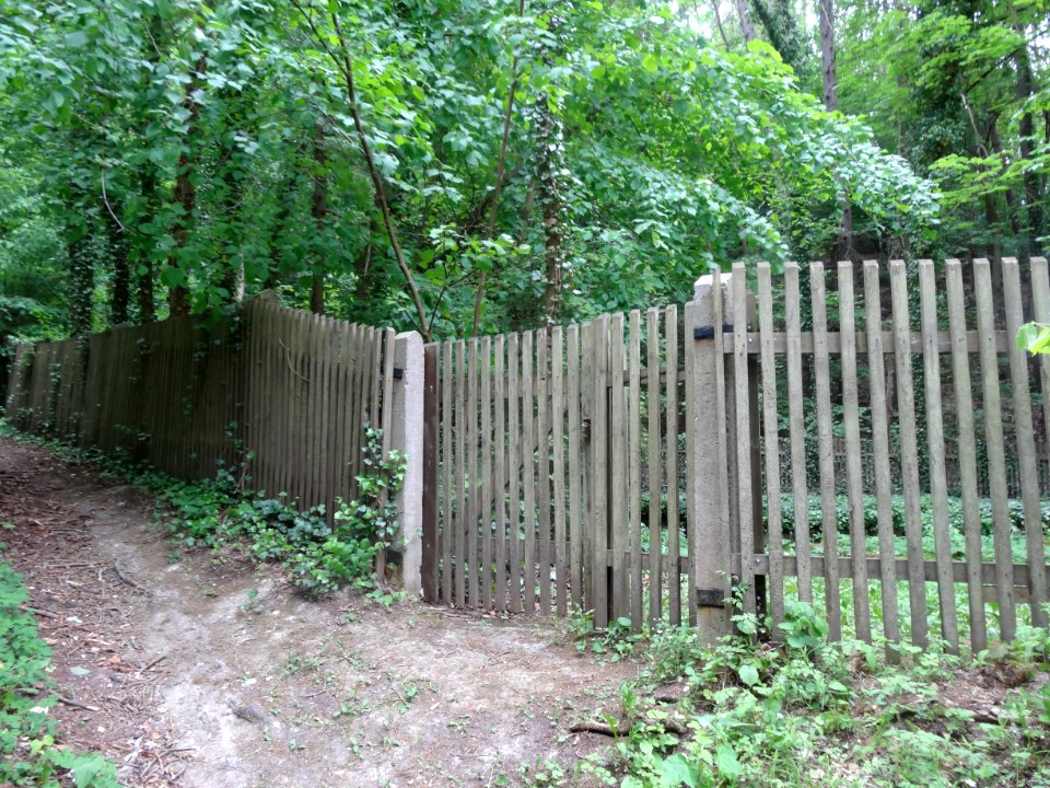 Jewish Cemetery Bad Frankenhausen 7