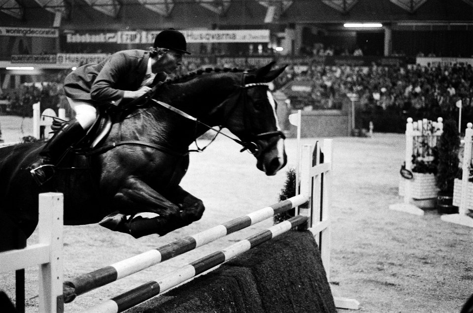 Johan Heins in actie met Fernando Z, Bestanddeelnr 930-5250