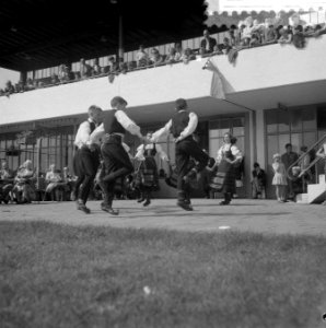 Joegoslavische volksdansers op de Bosbaan, Bestanddeelnr 908-8658