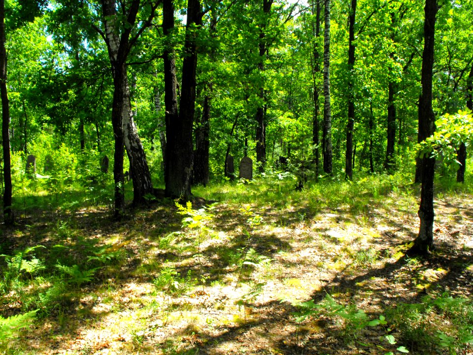 Jewish cemeteries in Lenin (Zhytkavichy district) 1a