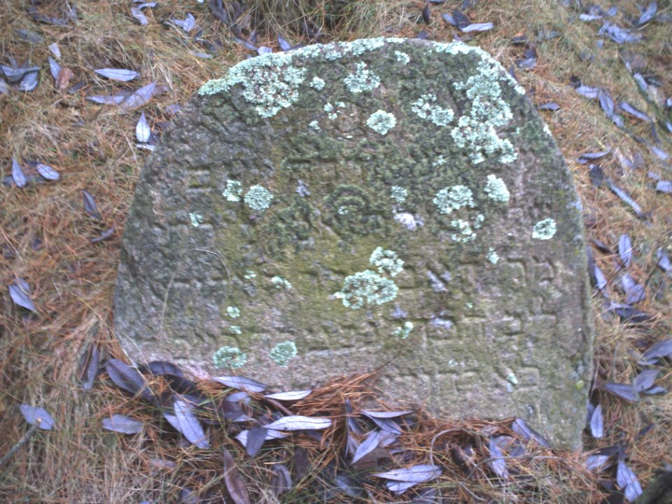Jewish cemeteries in Vileyka 50
