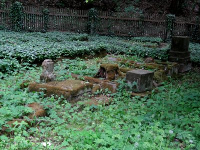 Jewish Cemetery Bad Frankenhausen 8