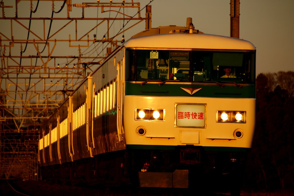 JNR Series 185 Rapid in Monoi