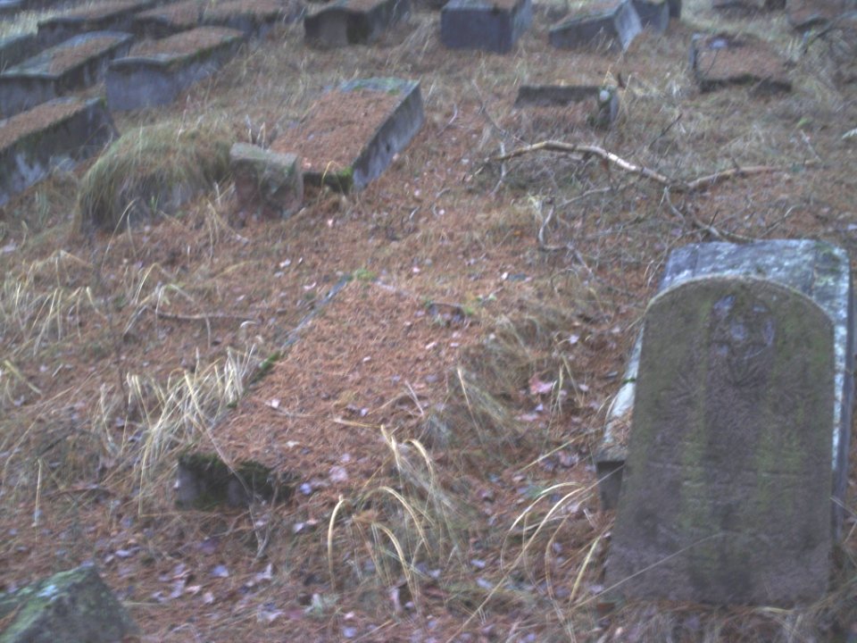 Jewish cemeteries in Vileyka 47