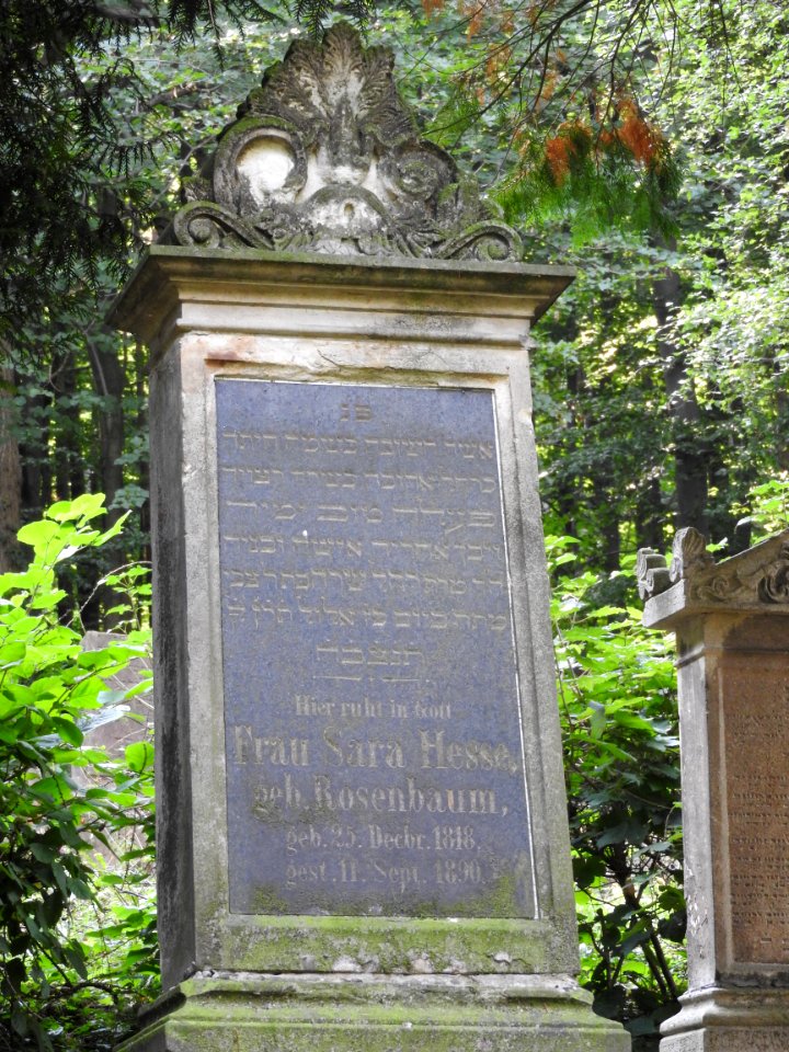 Jewish cemetery Bleicherode 36