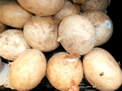 Jicama in a bin photo